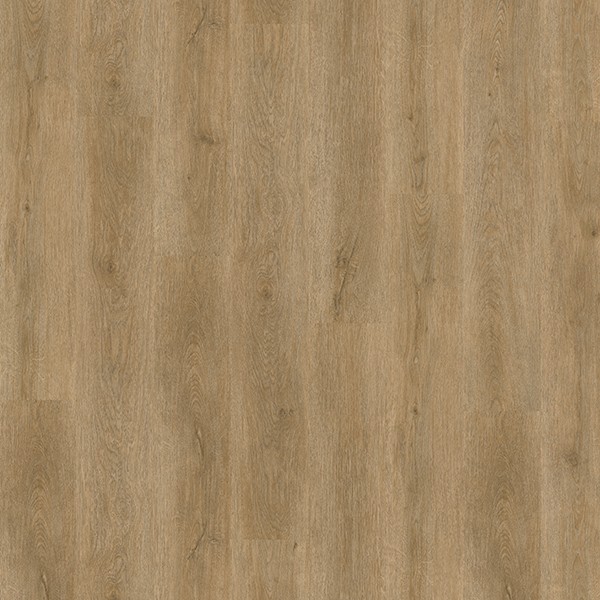 603722 ICONIC OAK