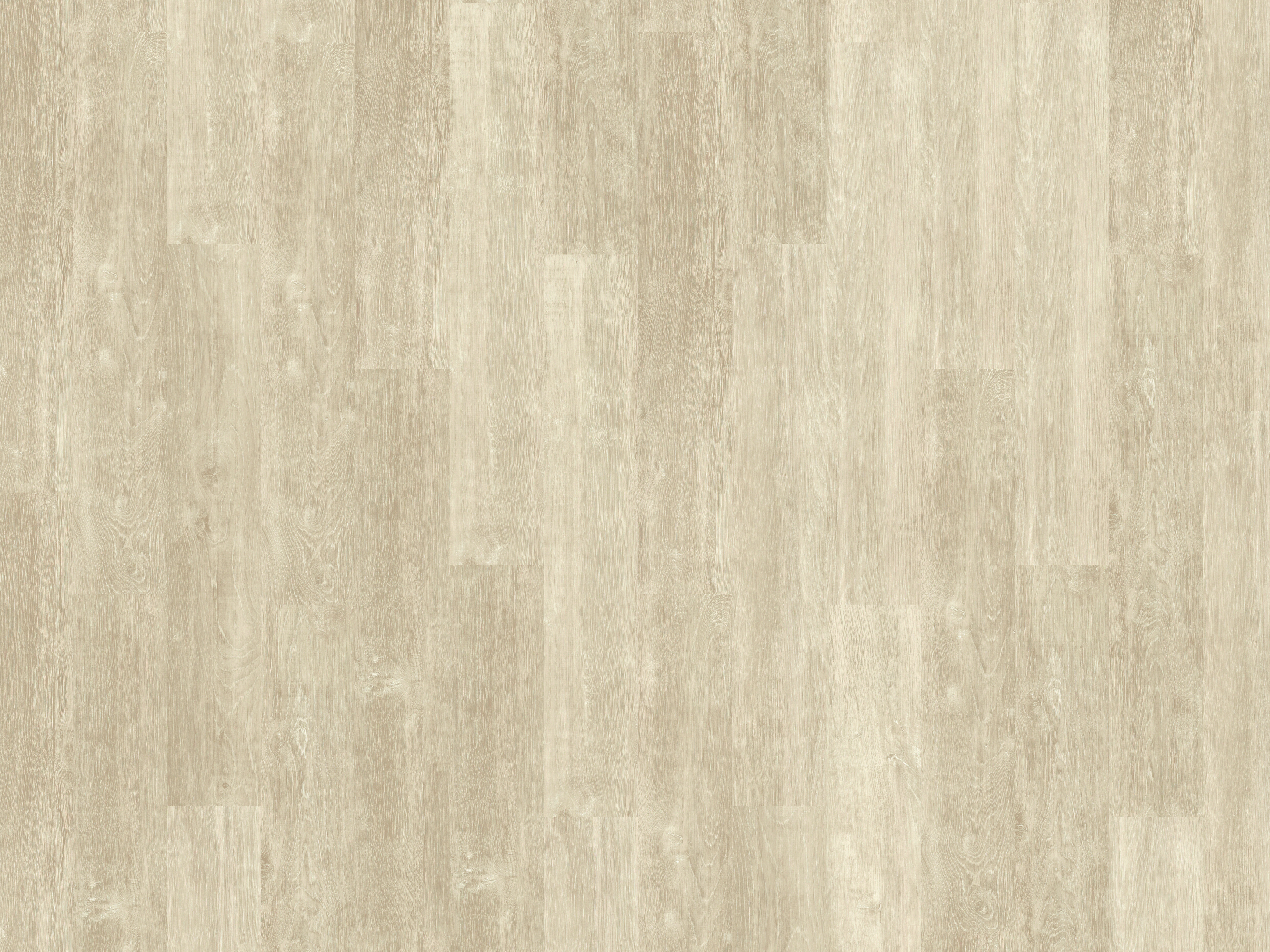 634222 FOREST