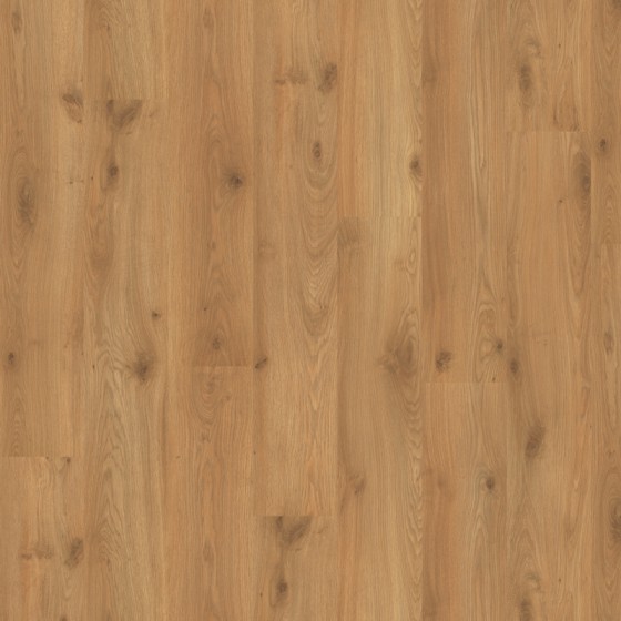 TCF470 638670 CHENE LYNX