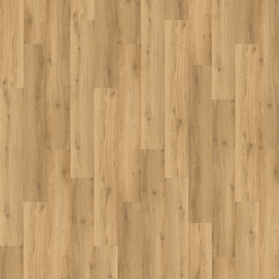 677504 DUNE