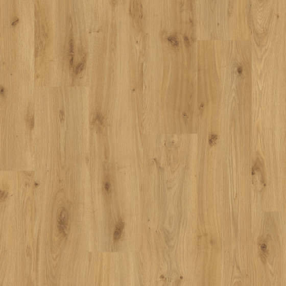 638670 CHENE LYNX